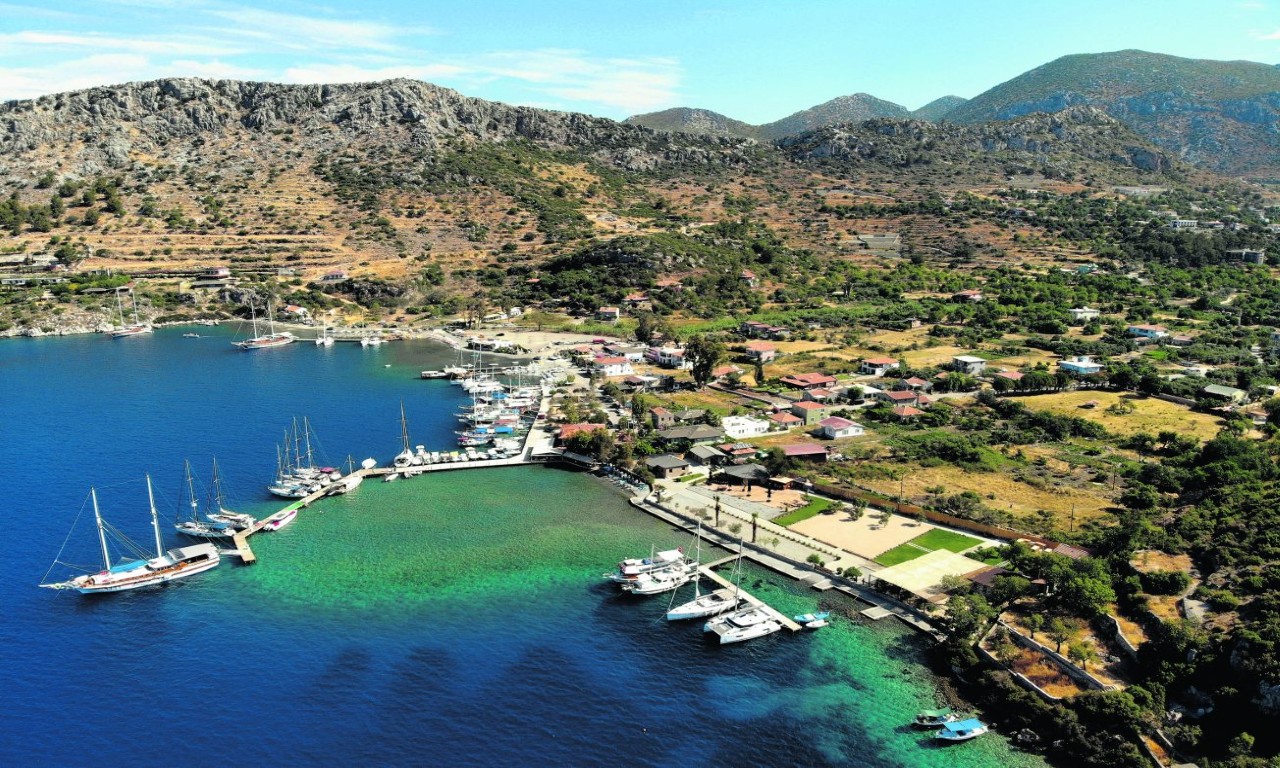 Söğüt